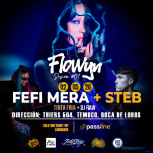 flowyn-fefi-mera-y-steb-en-temuco-sessions-1-495104-rec